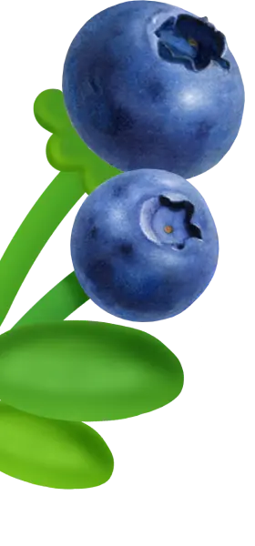 Ягода