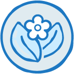 Без ароматизаторов