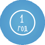 Первый кризис в первый год