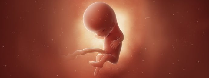 11 неделя беременности