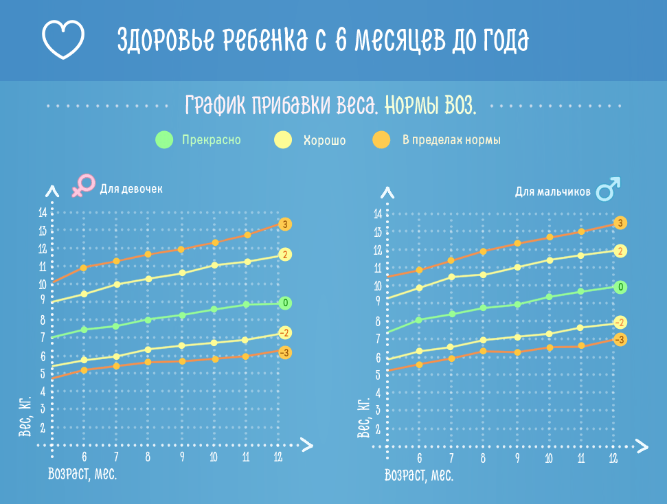 Здоровье ребенка с 6 до 12 месяцев