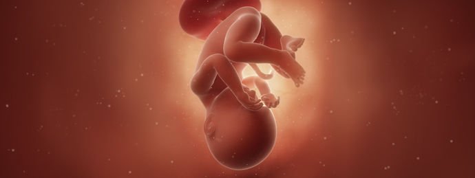 38 неделя беременности
