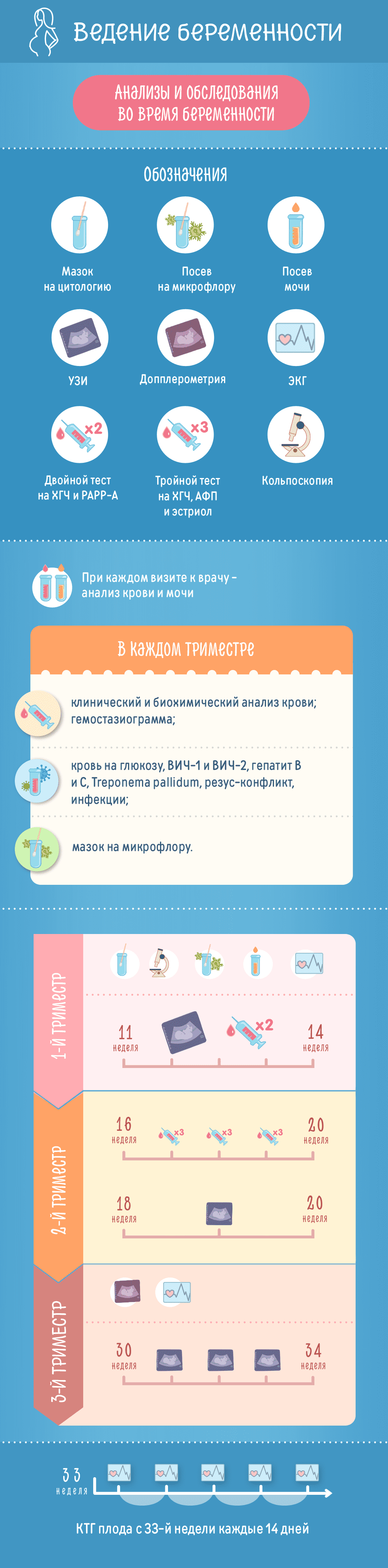 Анализы и обследования во время беременности