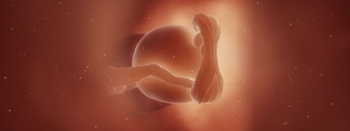 5 неделя беременности