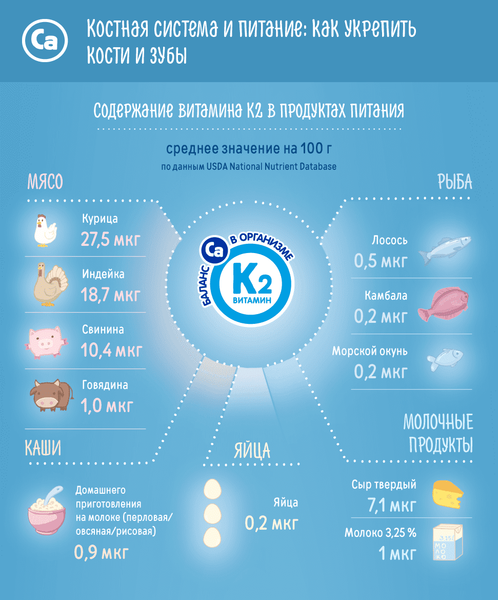 Костная система и питание: как укрепить кости и зубы