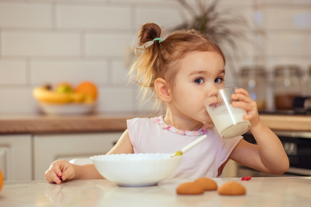shutterstock_2120745083.jpg как развивается ребенок в 2 года